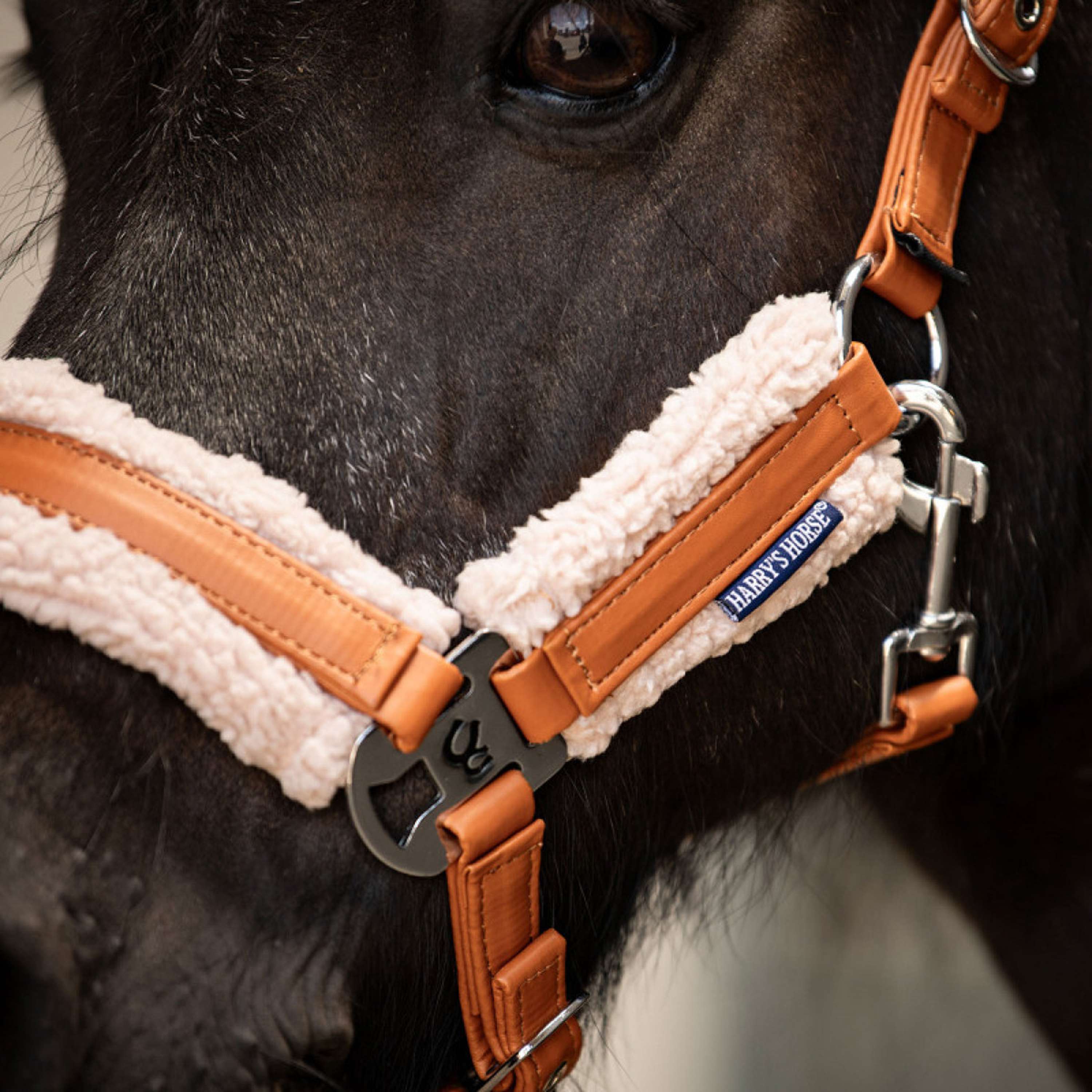Harry's Horse Set Cavezza STOUT! Maverick Bran