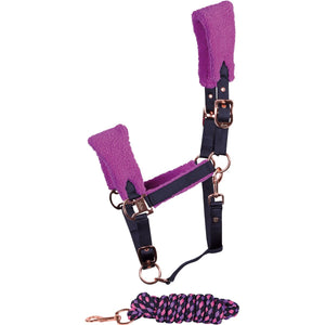 Harry's Horse Set Cavezza Loulou Royce Bright Violet