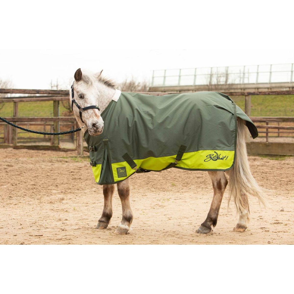 Harry's Horse Coperta Impermeabile STOUT! Lime 0g Verde militare