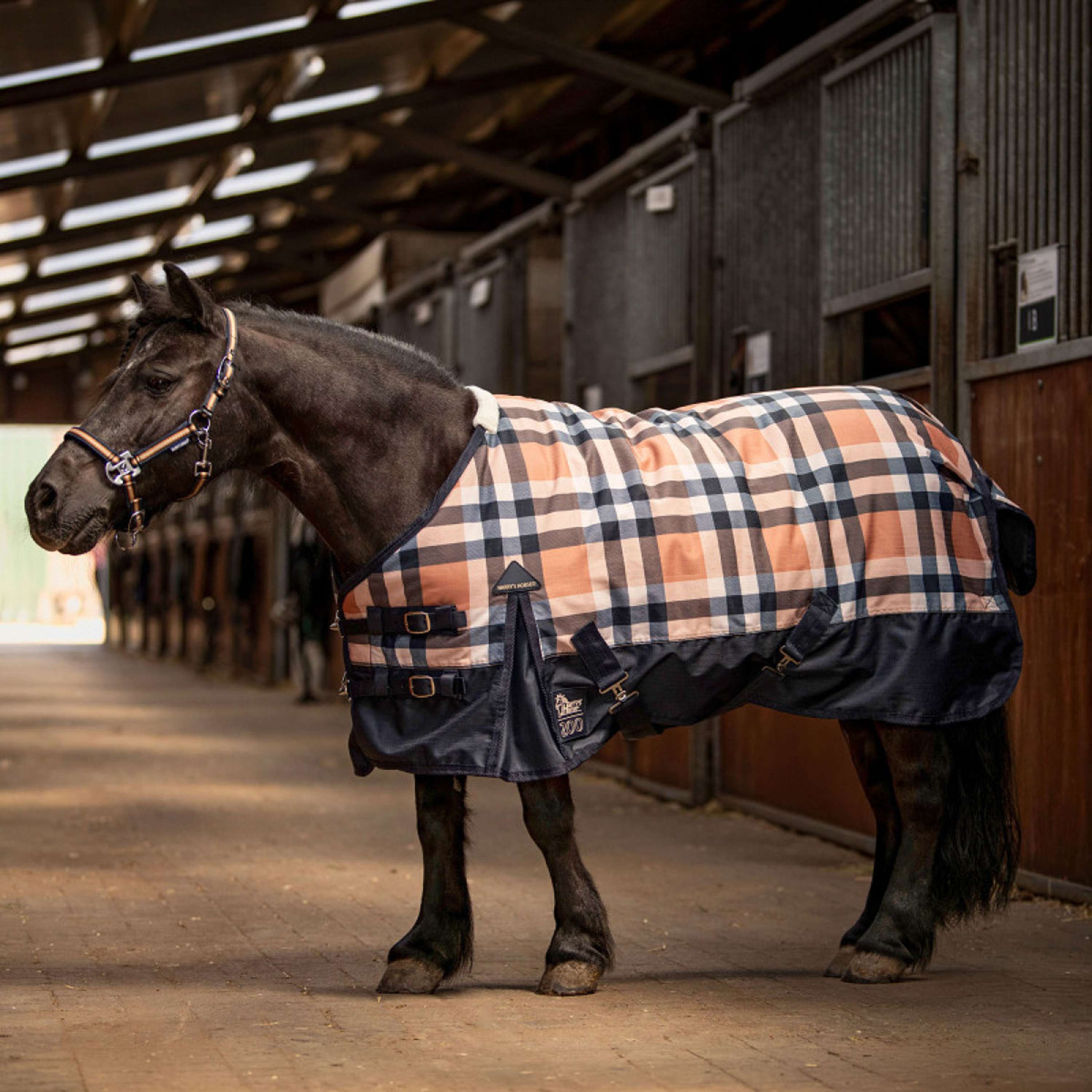 Harry's Horse Coperta Impermeabile STOUT! Maverick 200g Total Eclipse