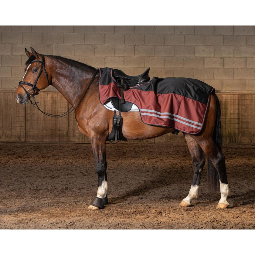 Harry's Horse Coperta da esercizio WI25 Fleece 0gr Impermeabile Jet Black Harry's Horse Coperta da esercizio WI25 Fleece 0gr Impermeabile Jet Black