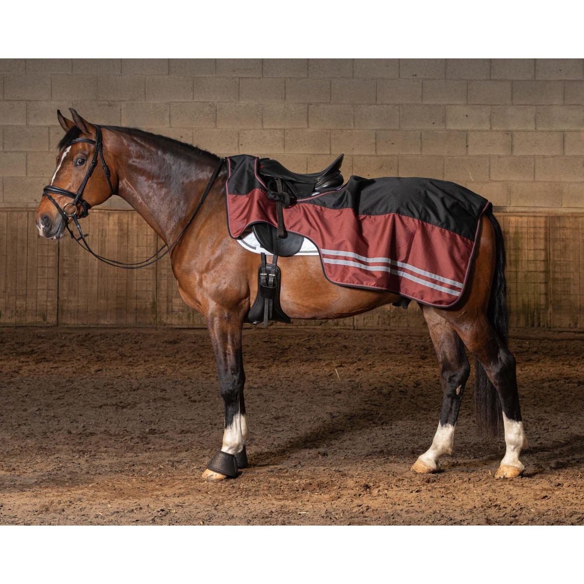 Harry's Horse Coperta da esercizio WI25 Fleece 0gr Impermeabile Jet Black