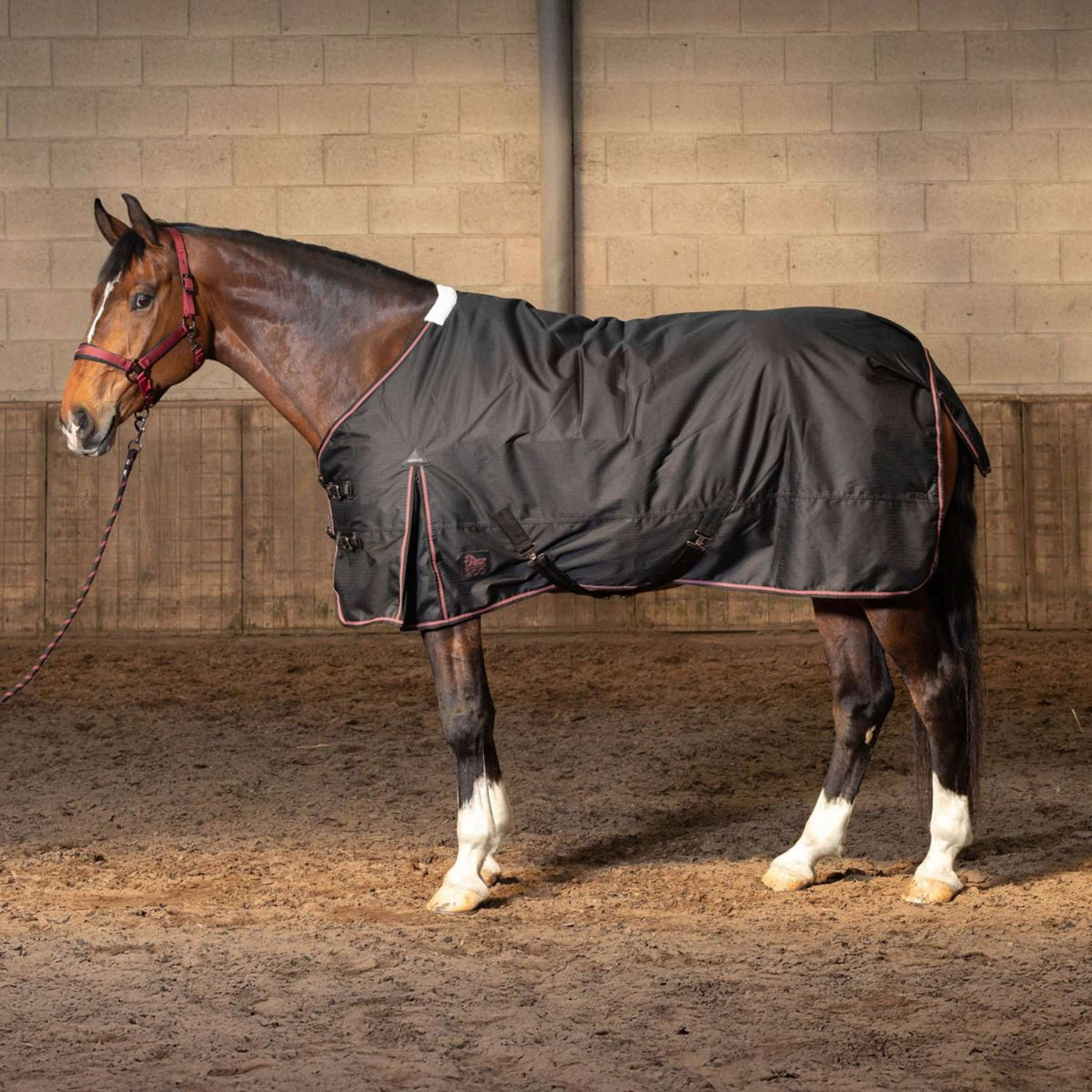 Harry's Horse Coperta Impermeabile Thor 200 WI25 Jet Black
