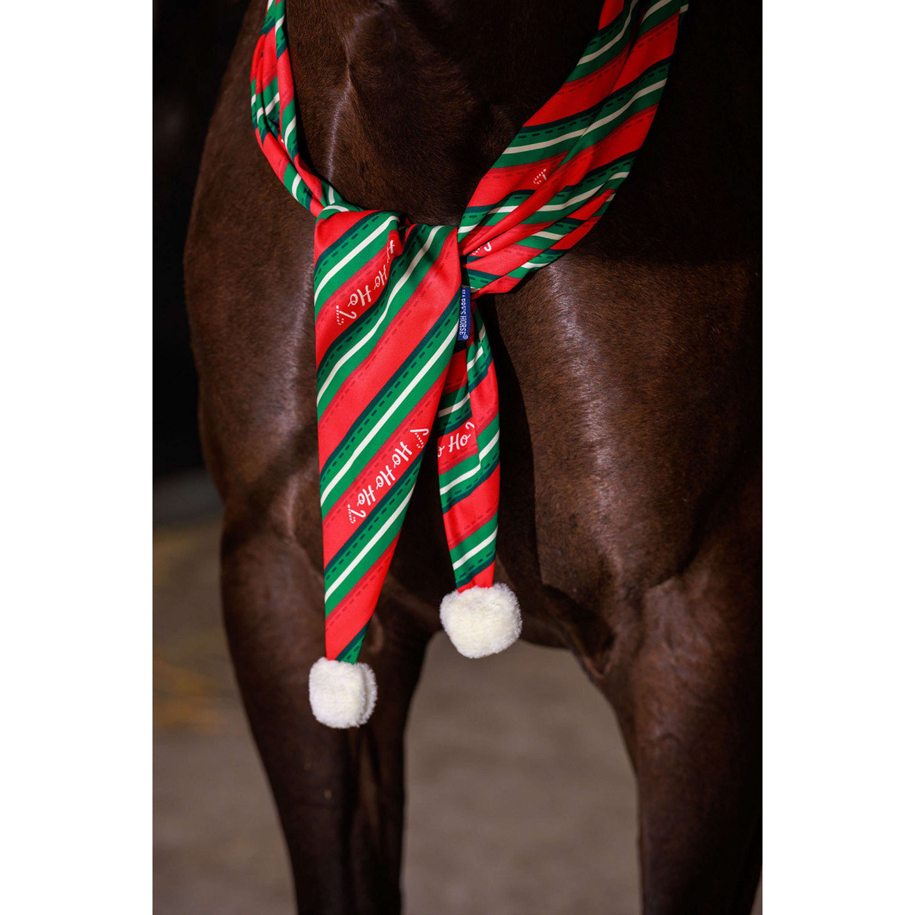 Harry's Horse Sciarpa Christmas '26 Rosso