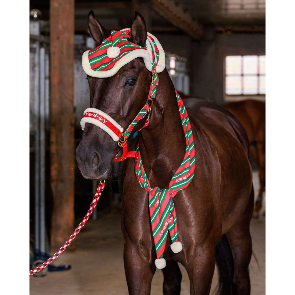 Harry's Horse Sciarpa Christmas '26 Rosso
