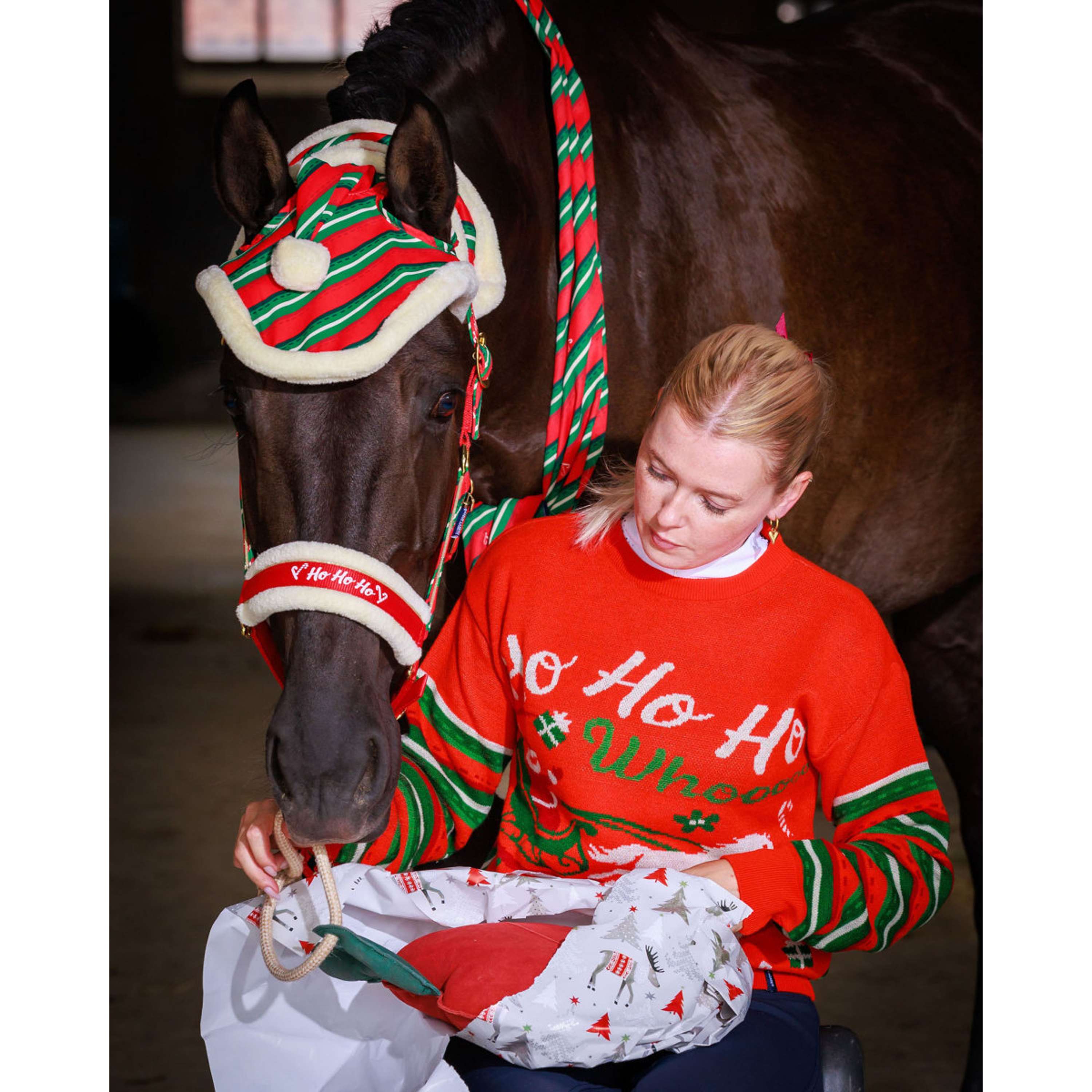 Harry's Horse Sciarpa Christmas '26 Rosso