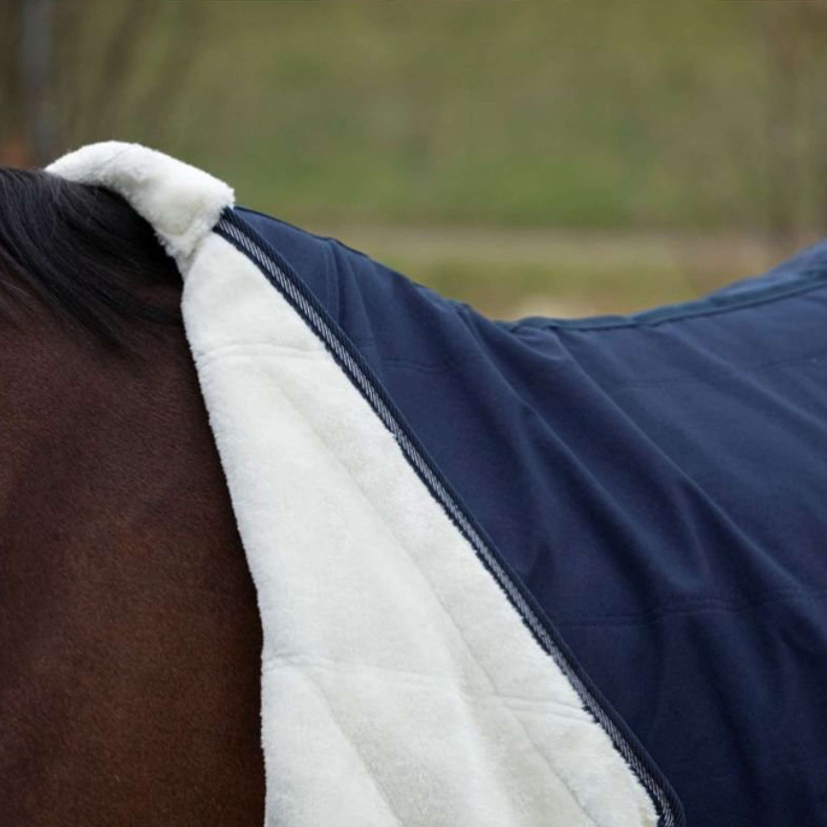 Harry's Horse Coperta da scuderia Highliner Boa Navy Harry's Horse Coperta da scuderia Highliner Boa Navy