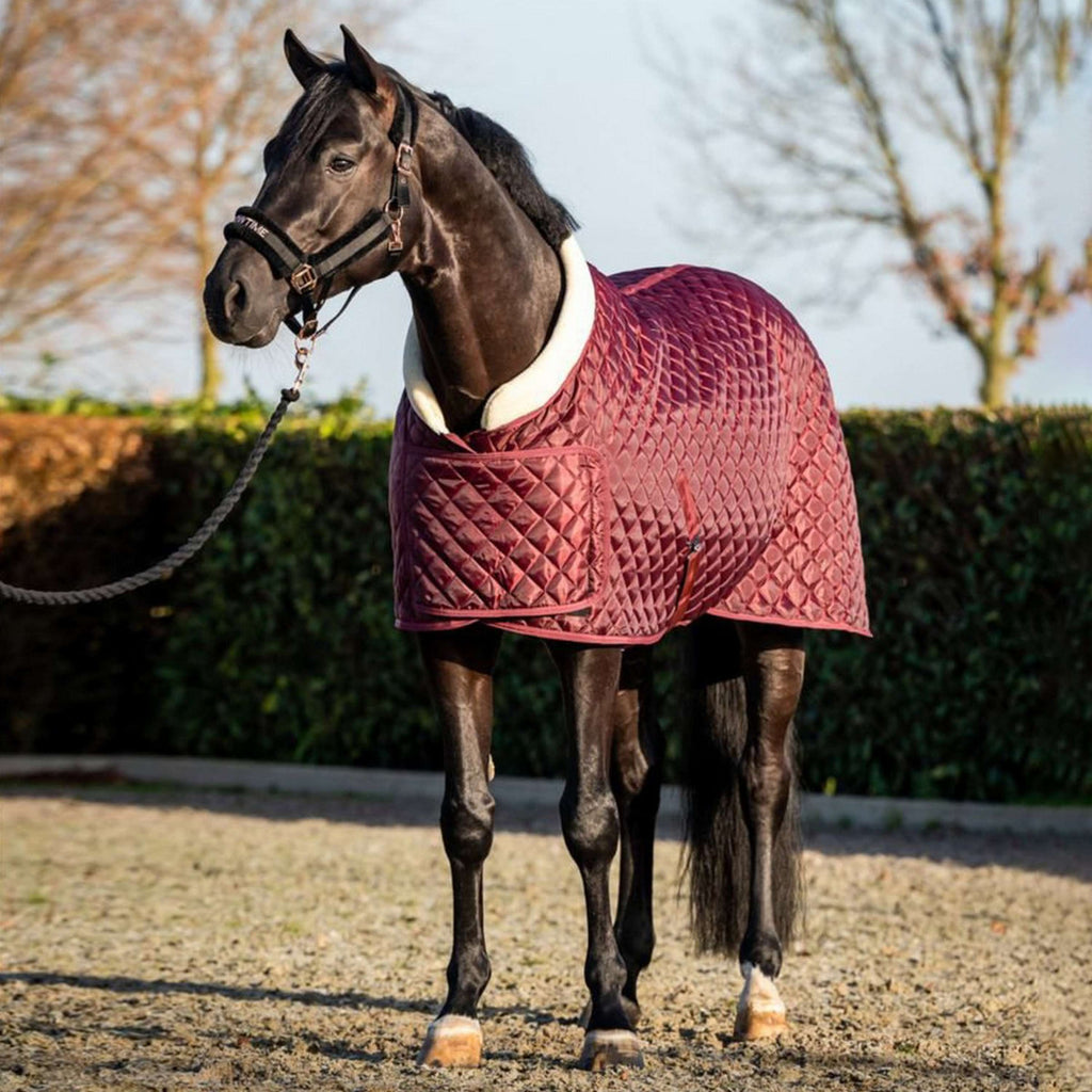 HB Coperta da esposizione Showtime Burgundy Borgogna