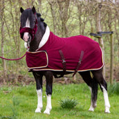 HB Ruitersport Coperta da esposizione Dutch Crown Little Sizes Borgogna