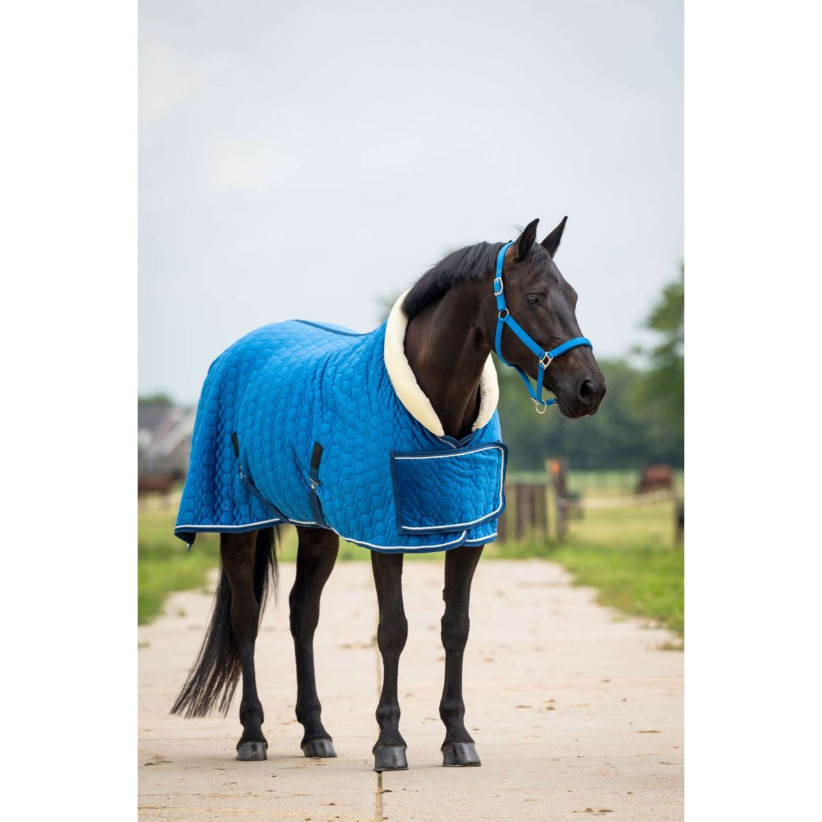 HB Ruitersport Coperta da esposizione Tropical Turkish Blue