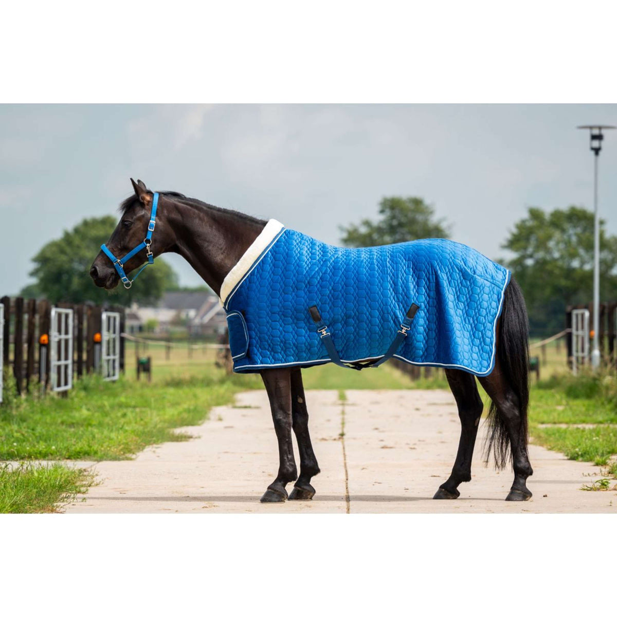 HB Ruitersport Coperta da esposizione Tropical Turkish Blue