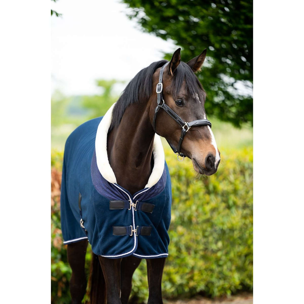 HB Coperta da esposizione Crown Navy