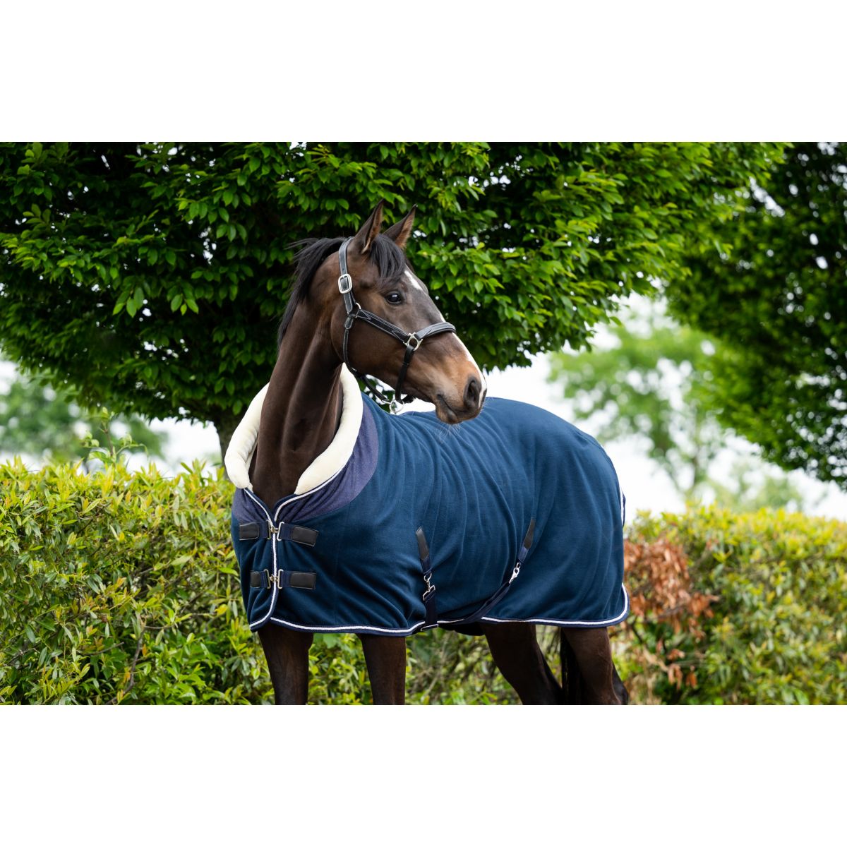 HB Coperta da esposizione Crown Navy