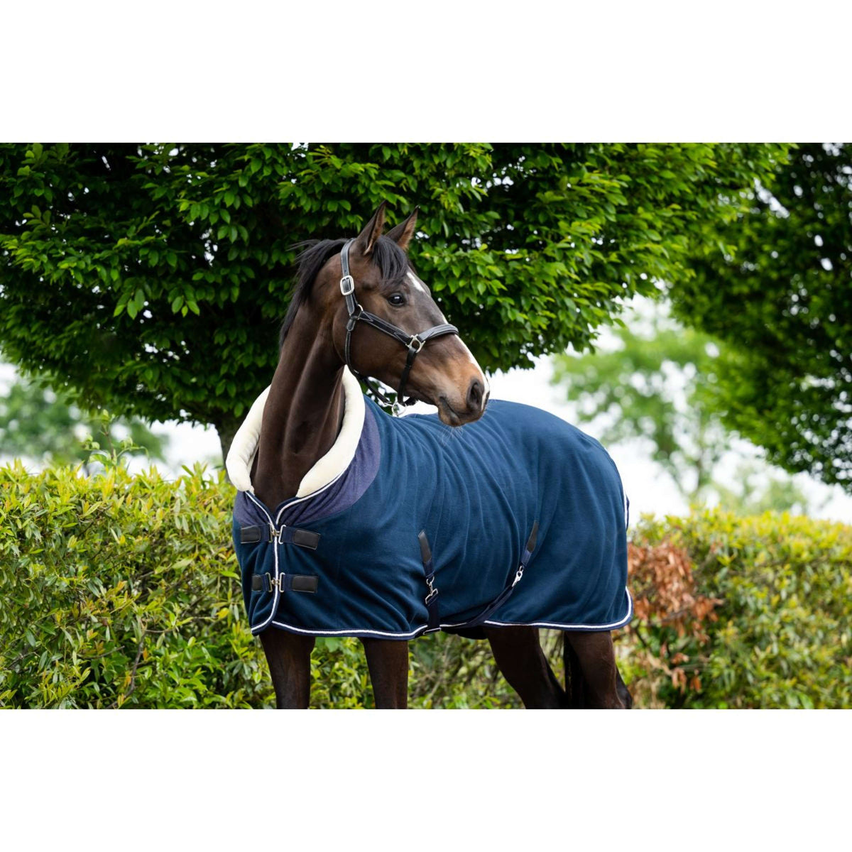 HB Coperta da esposizione Crown Navy