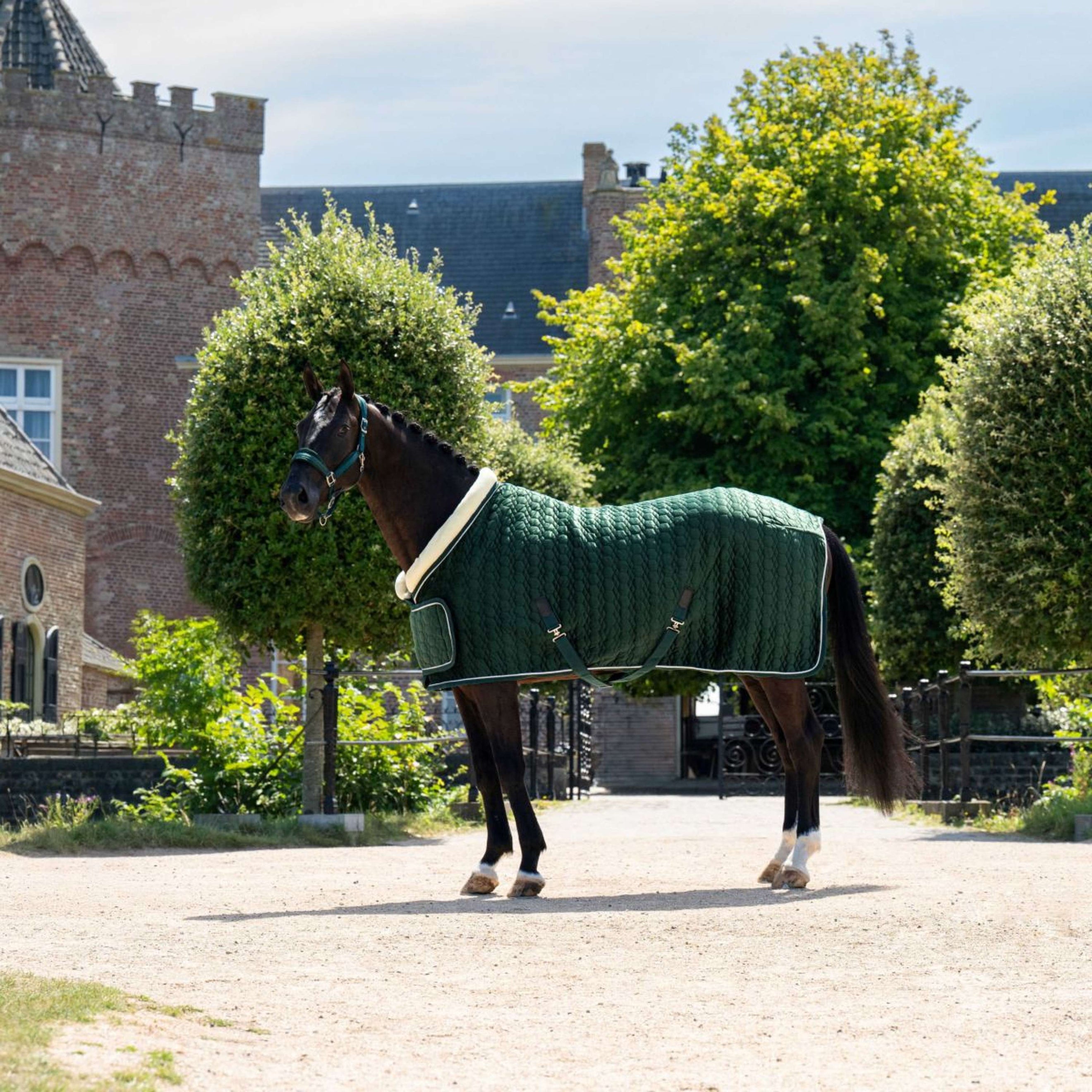 HB Ruitersport Coperta da esposizione Special Peach Forest Green HB Ruitersport Coperta da esposizione Special Peach Forest Green