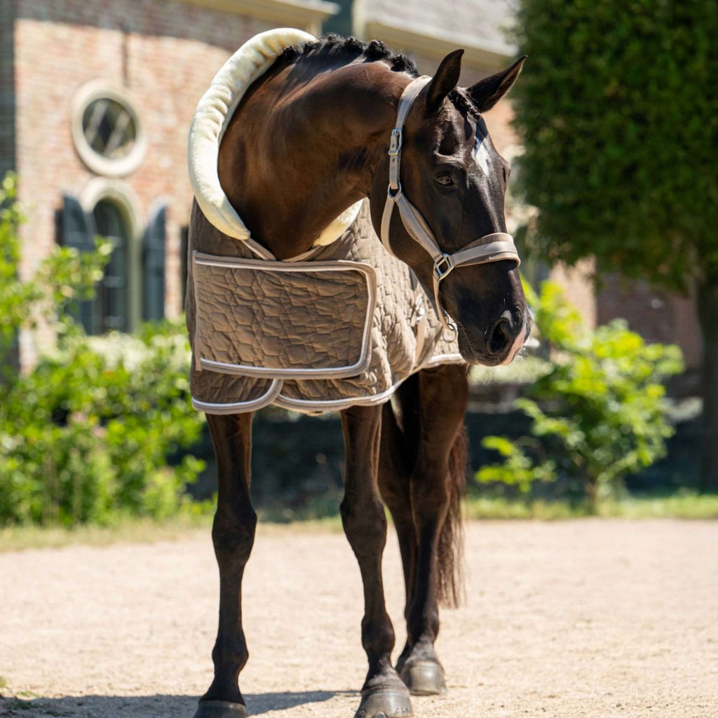 HB Ruitersport Coperta da esposizione Special Peach Taupe