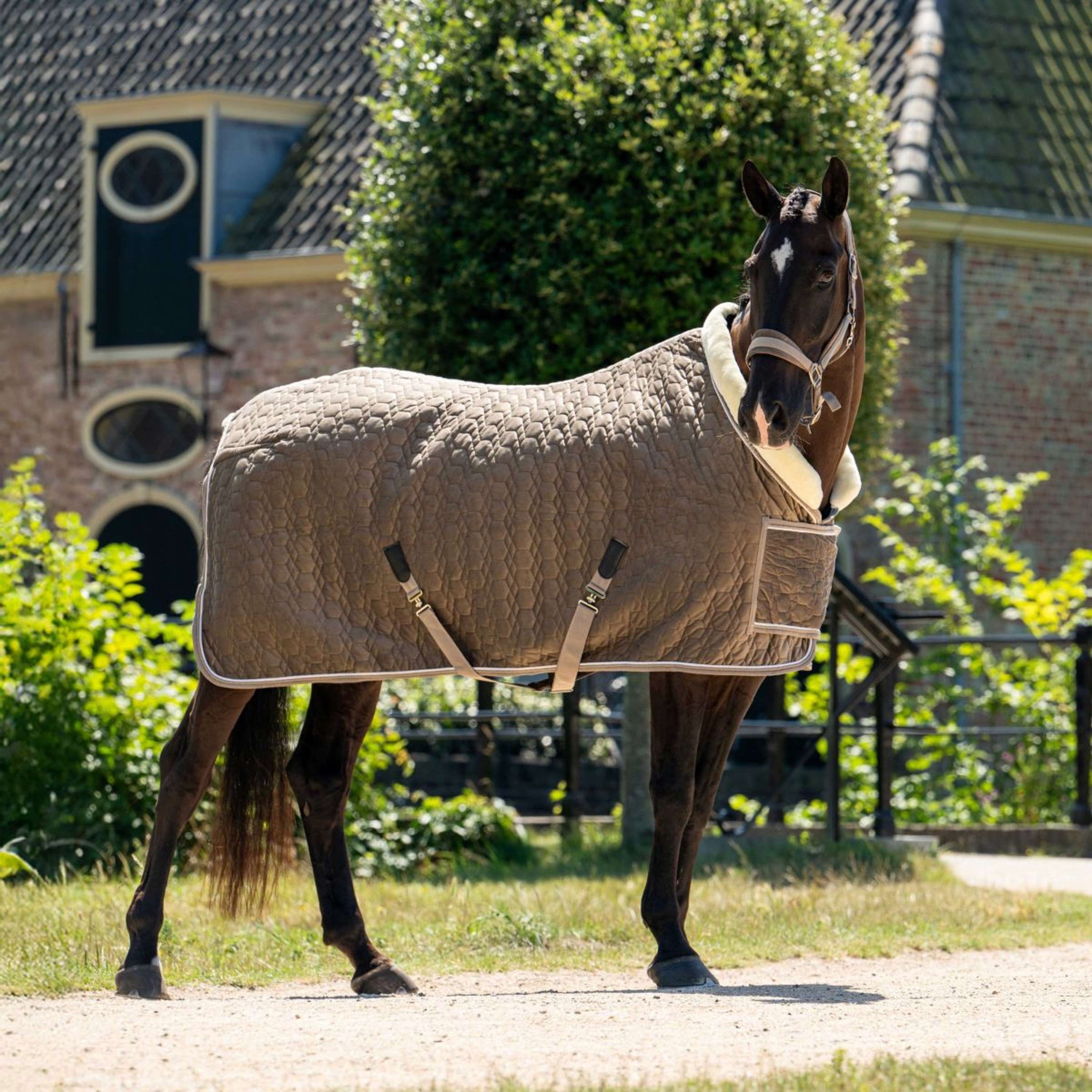 HB Ruitersport Coperta da esposizione Special Peach Taupe HB Ruitersport Coperta da esposizione Special Peach Taupe