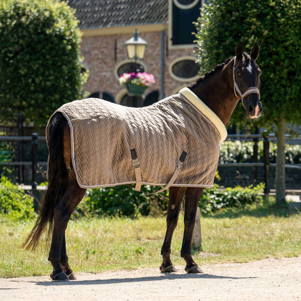 HB Ruitersport Coperta da esposizione Special Peach Taupe