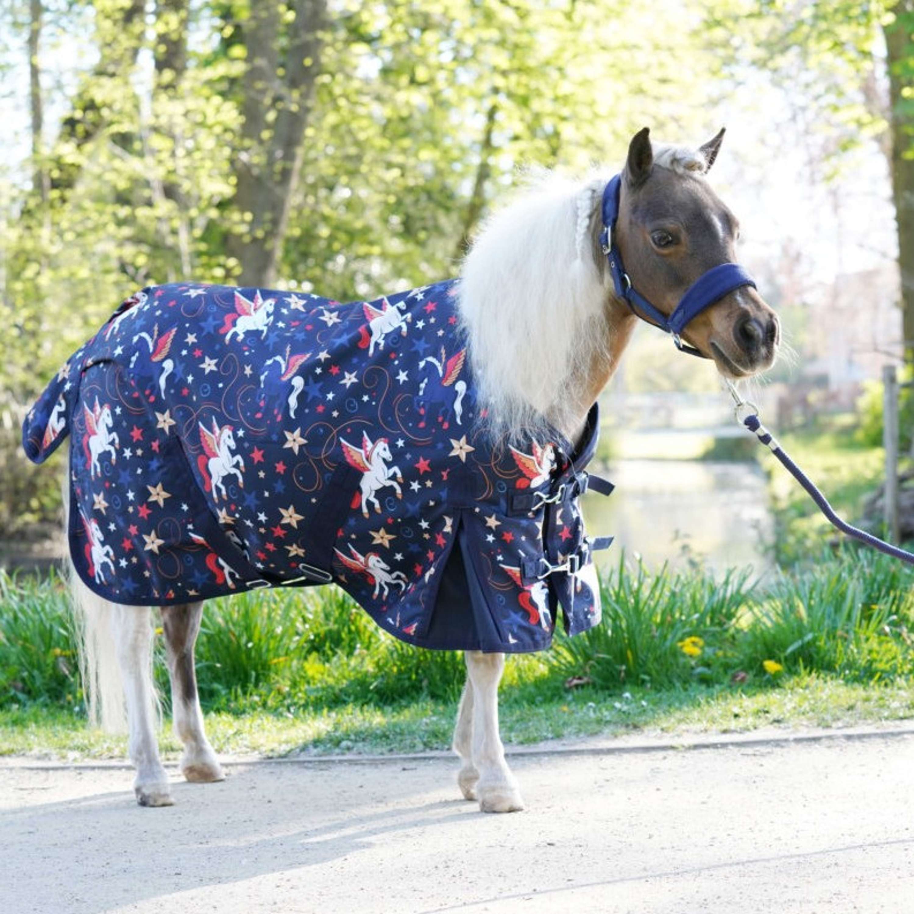 HB Tappeto da Esterno Little Sizes Navy Flying Horse