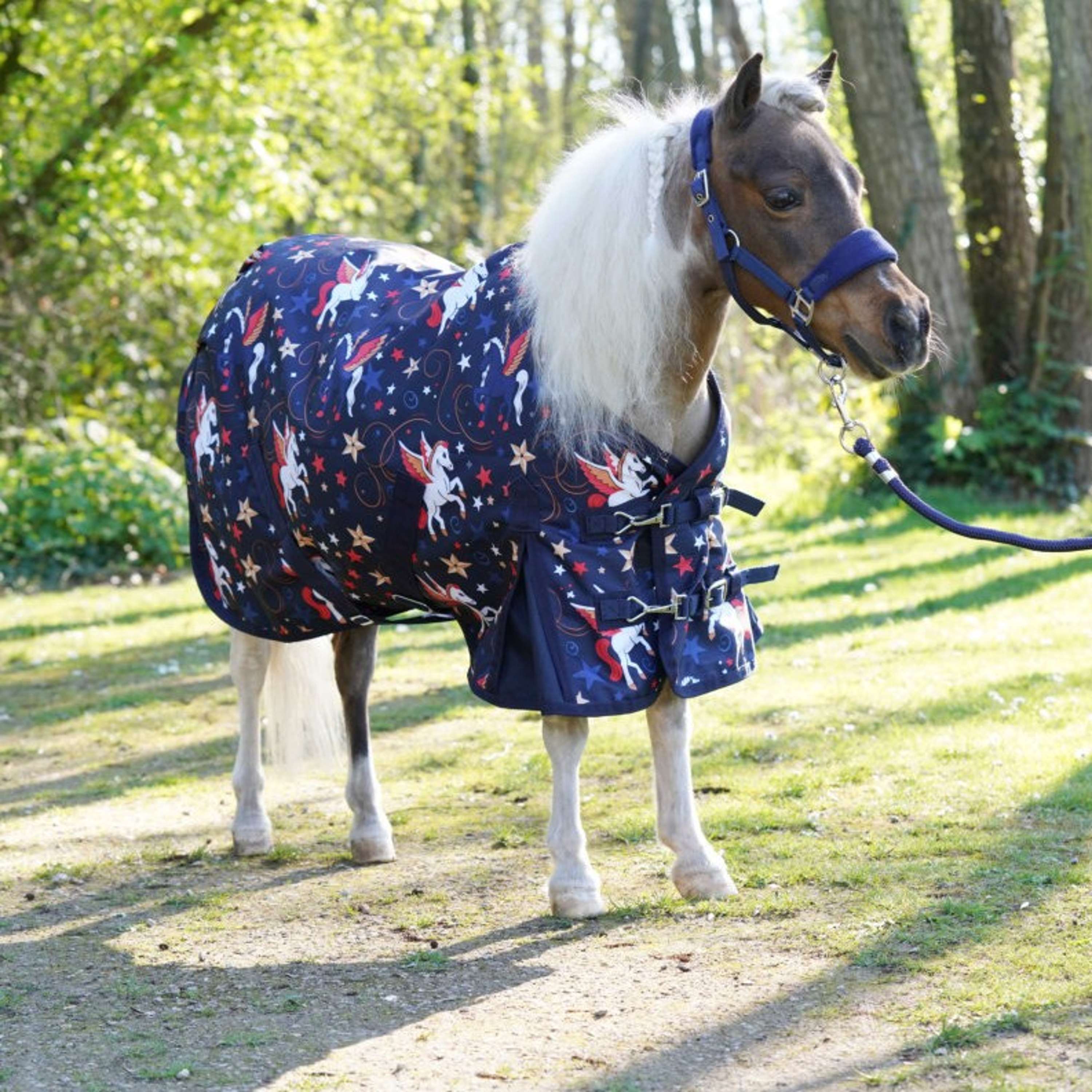 HB Tappeto da Esterno Little Sizes Navy Flying Horse
