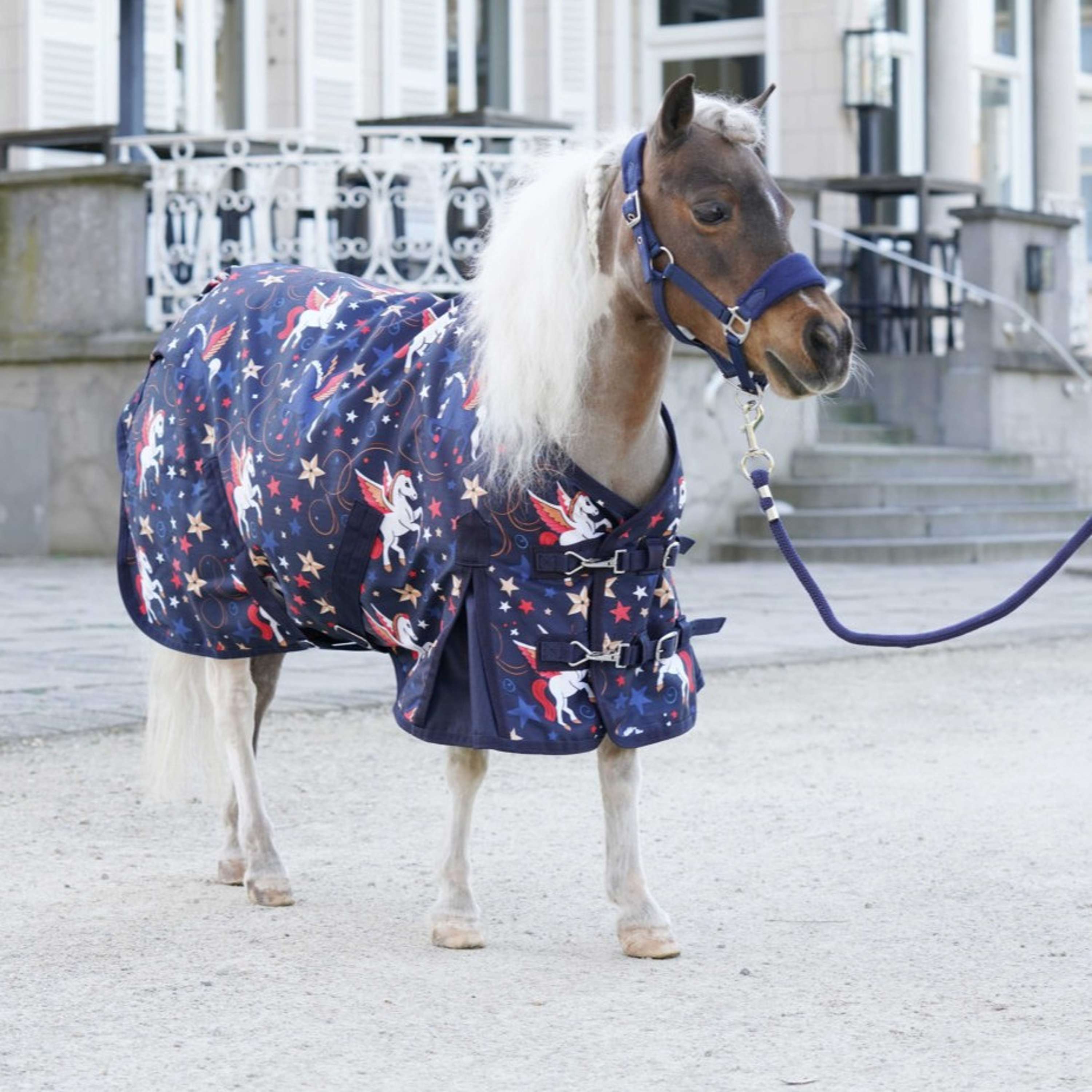 HB Tappeto da Esterno Little Sizes Navy Flying Horse