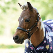 HB Tappeto da Esterno Harry and Hector Unicorn Dream