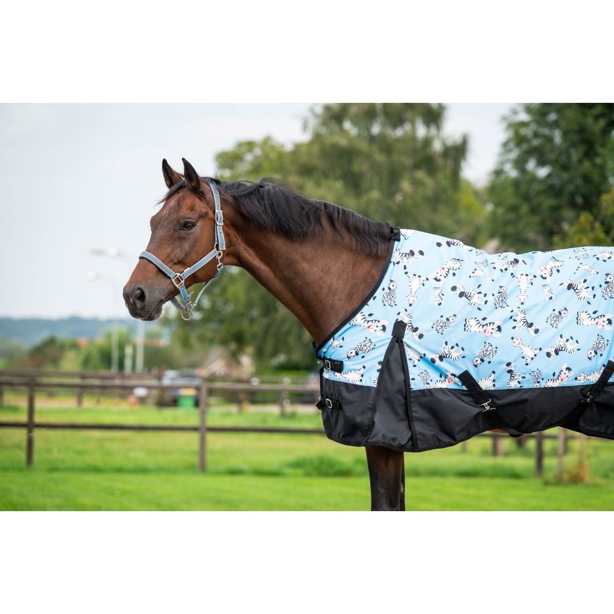 HB Tappeto da Esterno Mr. Squeez Azzurro