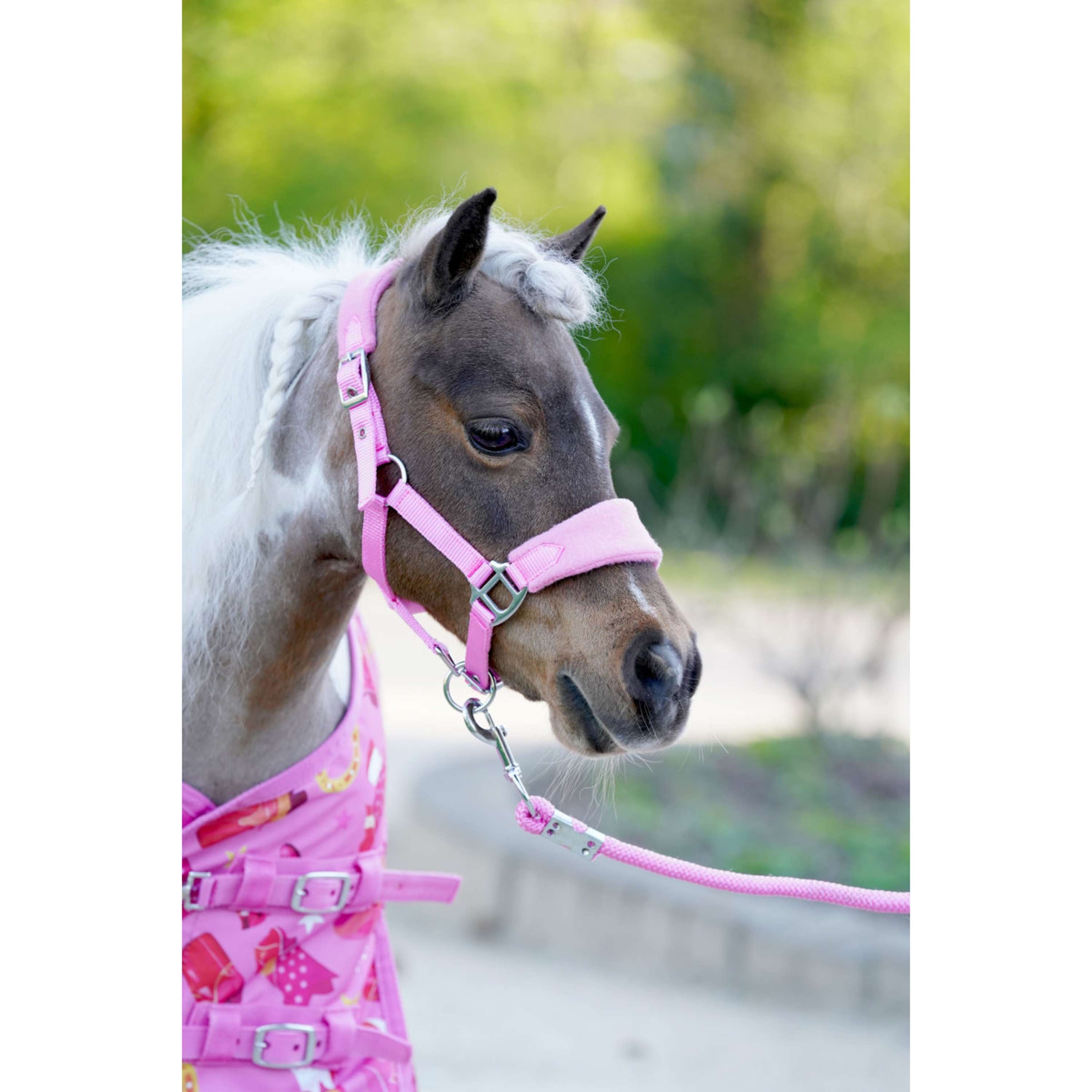 HB Tappeto da Esterno Little Sizes Prairie Pink by Sanne