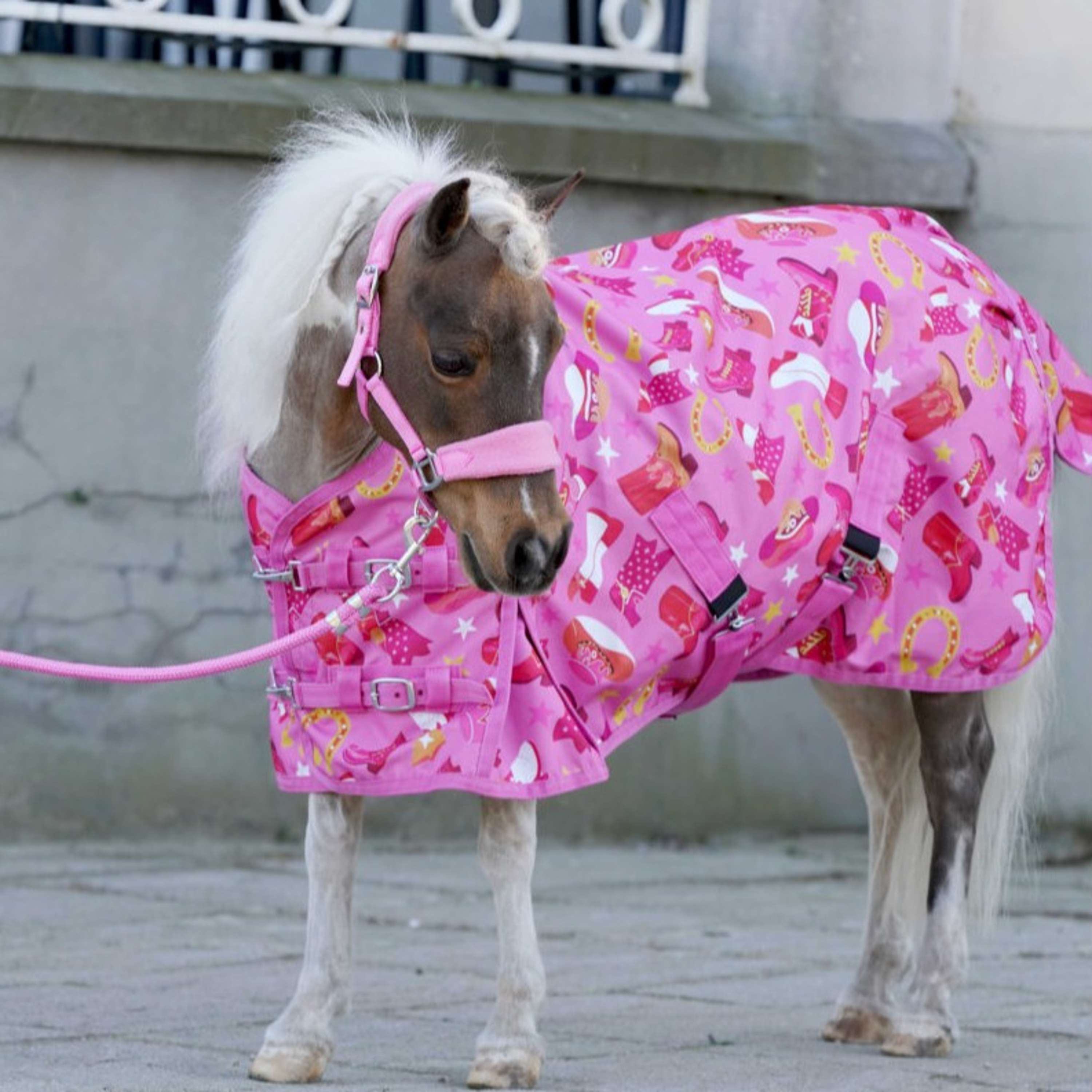 HB Tappeto da Esterno Little Sizes Prairie Pink by Sanne