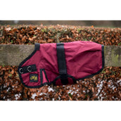 HB Coperta per Puledro Ukki Bordeaux