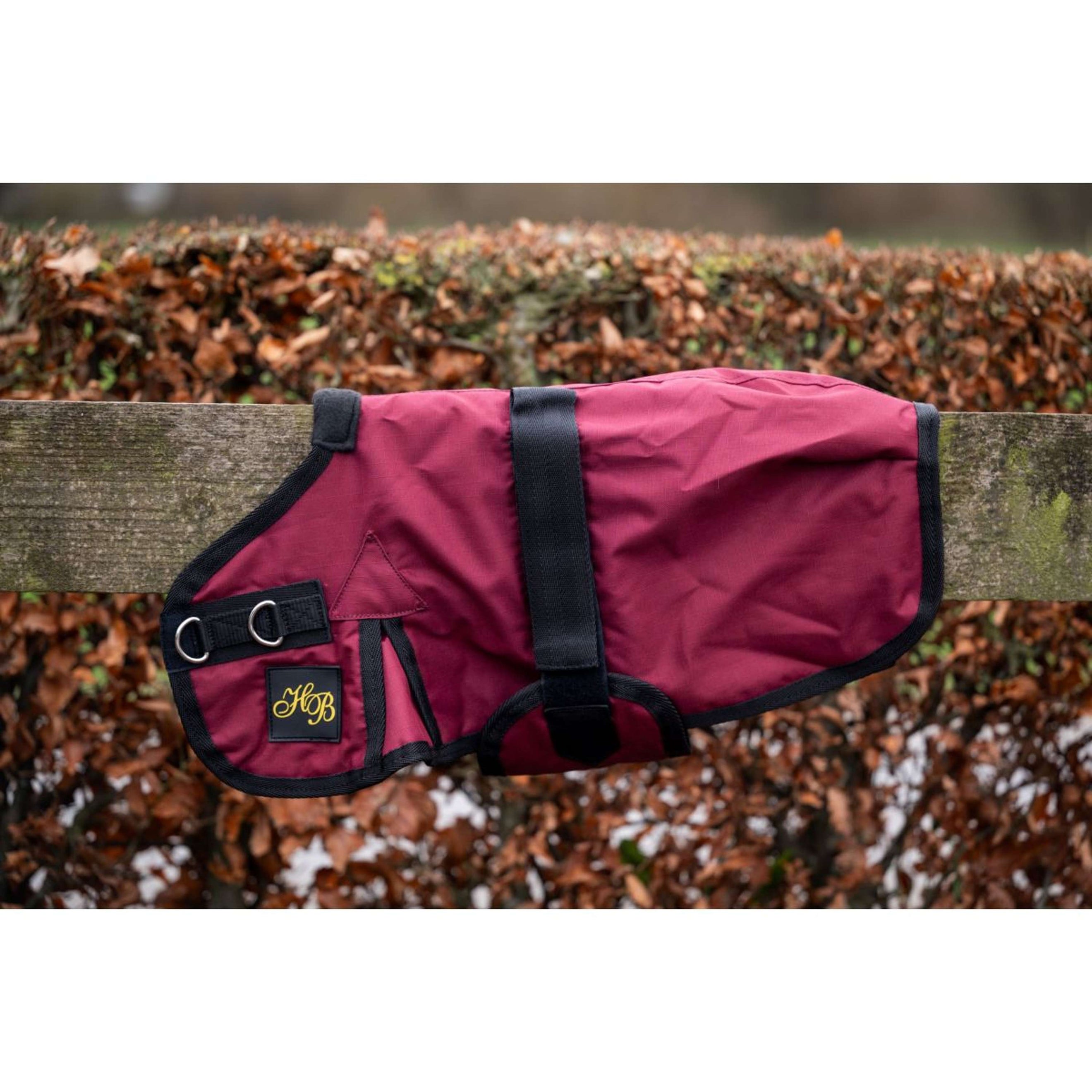 HB Coperta per Puledro Ukki Bordeaux