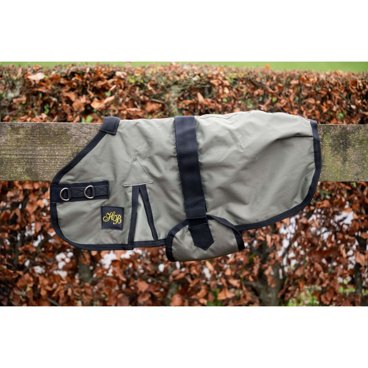 HB Coperta per Puledro Ukki Oliva