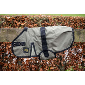 HB Coperta per Puledro Ukki Oliva