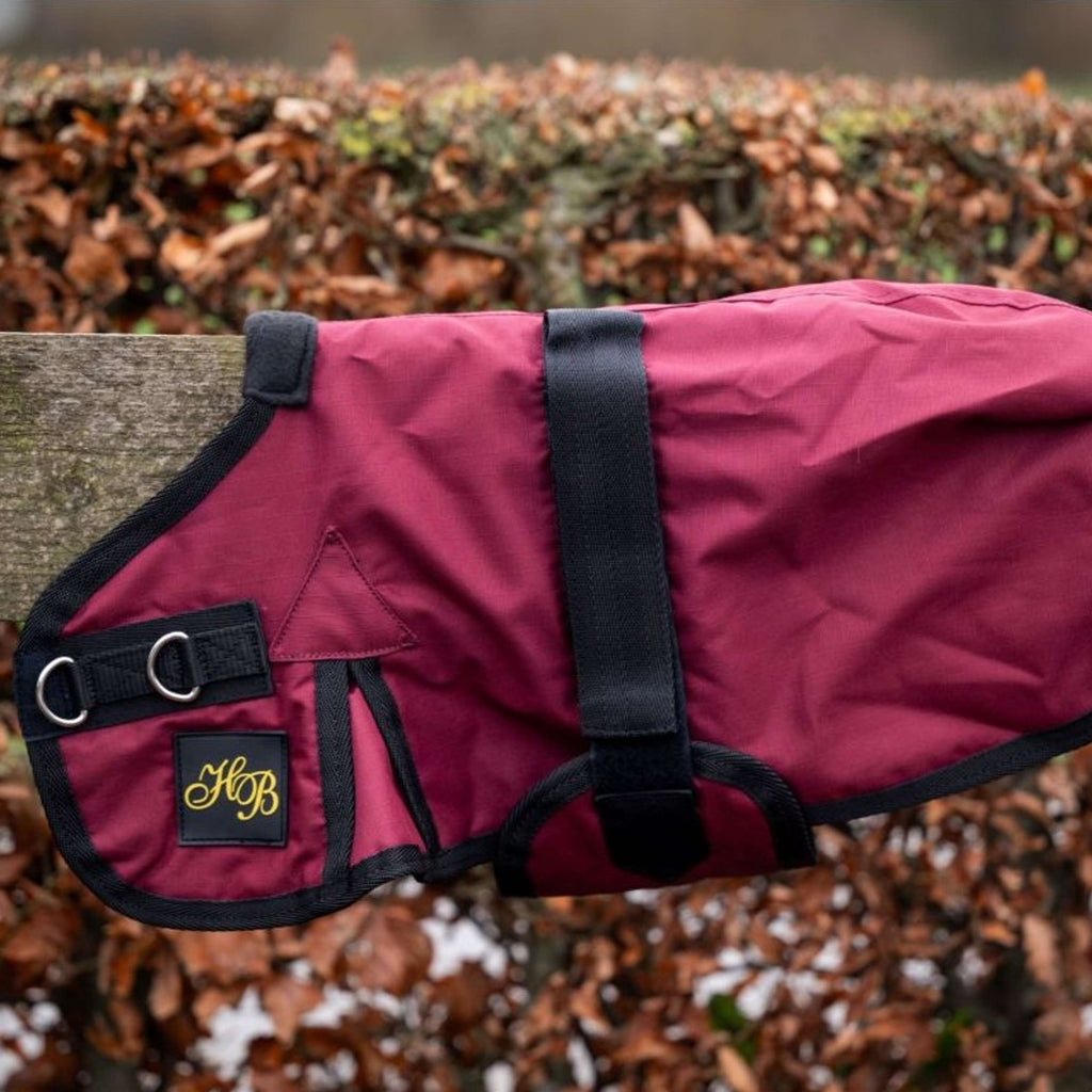 HB Coperta per Puledro Ukki Bordeaux