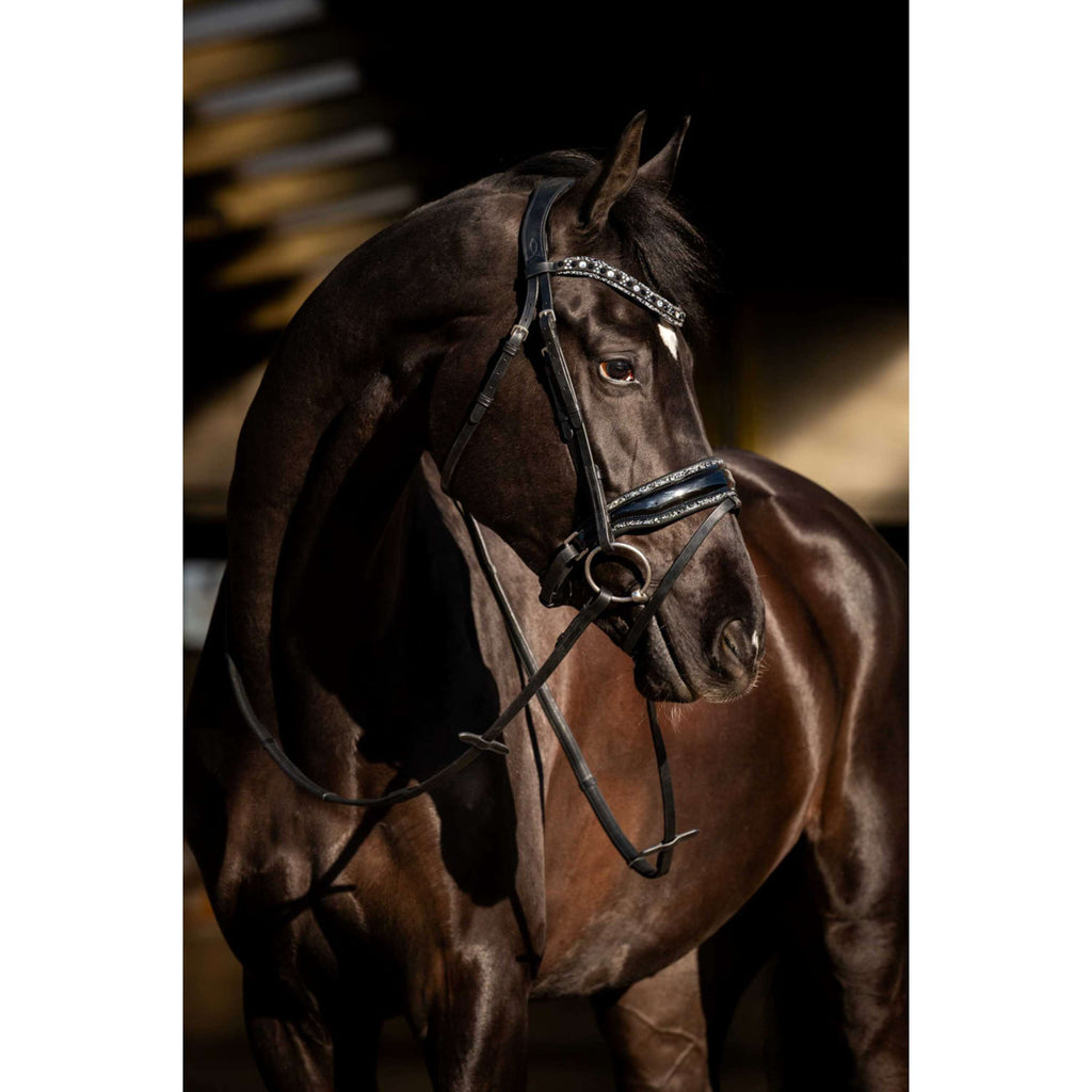 HB Briglia Black River Nero