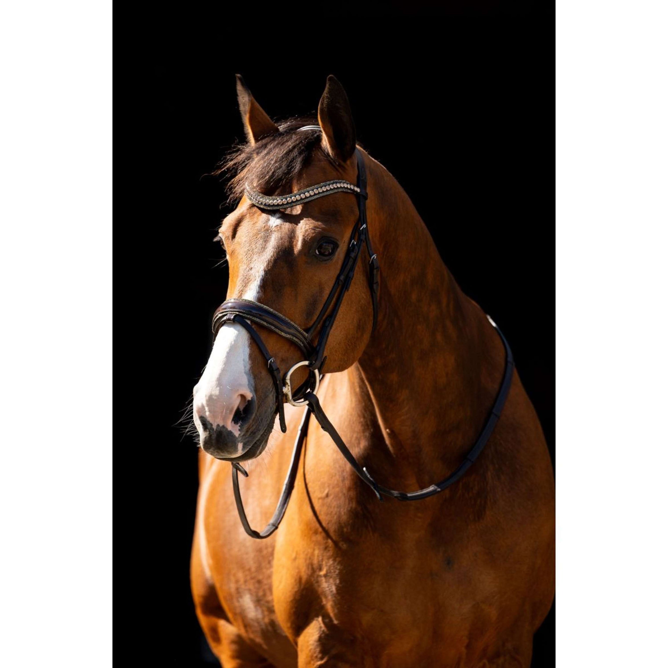 HB Briglia Jump Rocky Marrone glitterato HB Briglia Jump Rocky Marrone glitterato