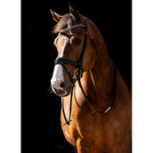 HB Briglia Jump Rocky Glitter/Nero