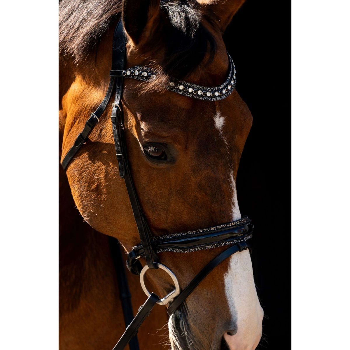 HB Briglia Jump Rocky Glitter/Nero