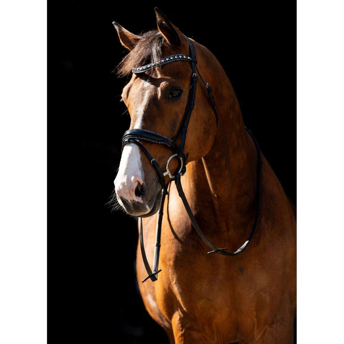 HB Briglia Jump Rocky Glitter/Nero