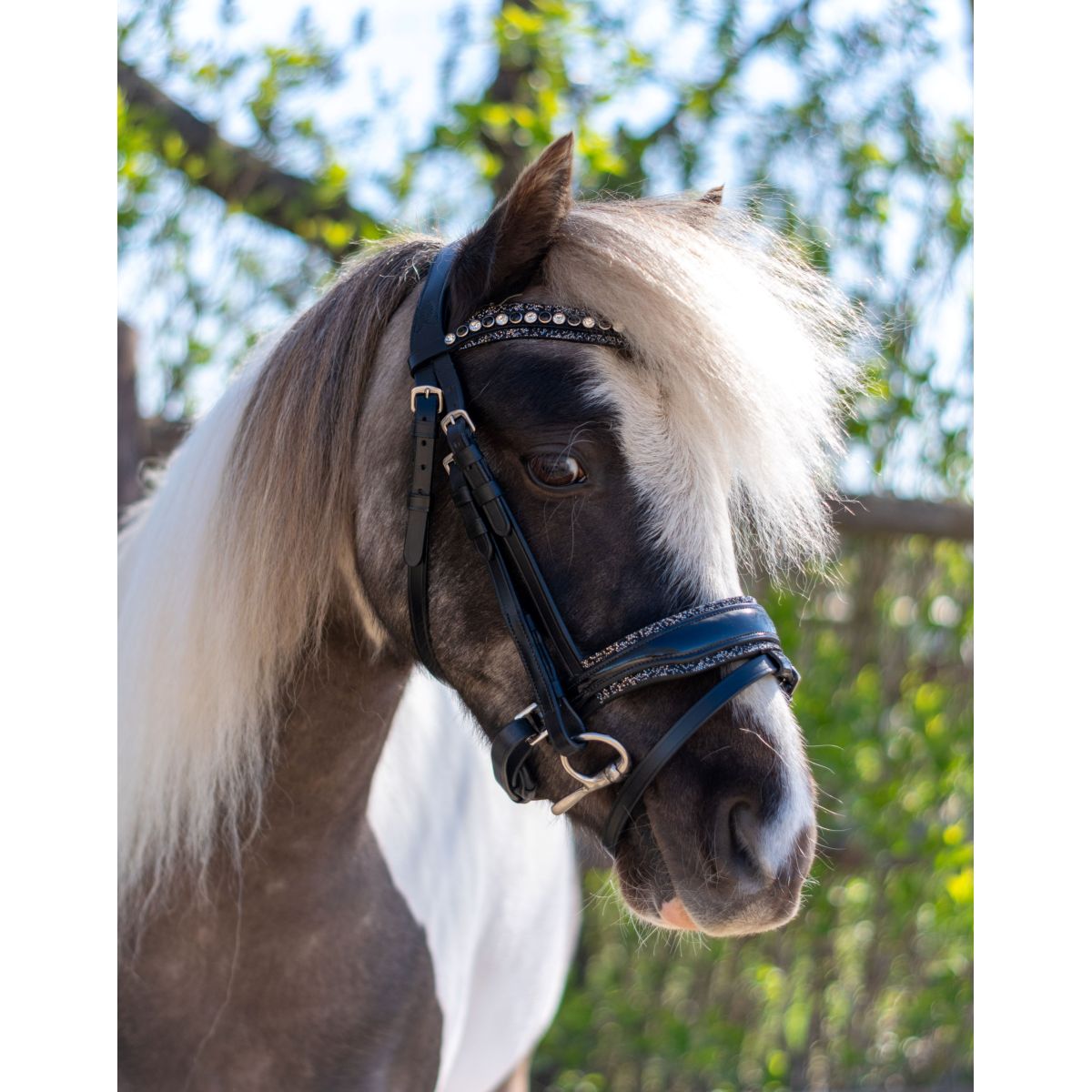 HB Briglia Rocky Glitter/Nero