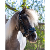 HB Briglia Rocky Glitter/Nero