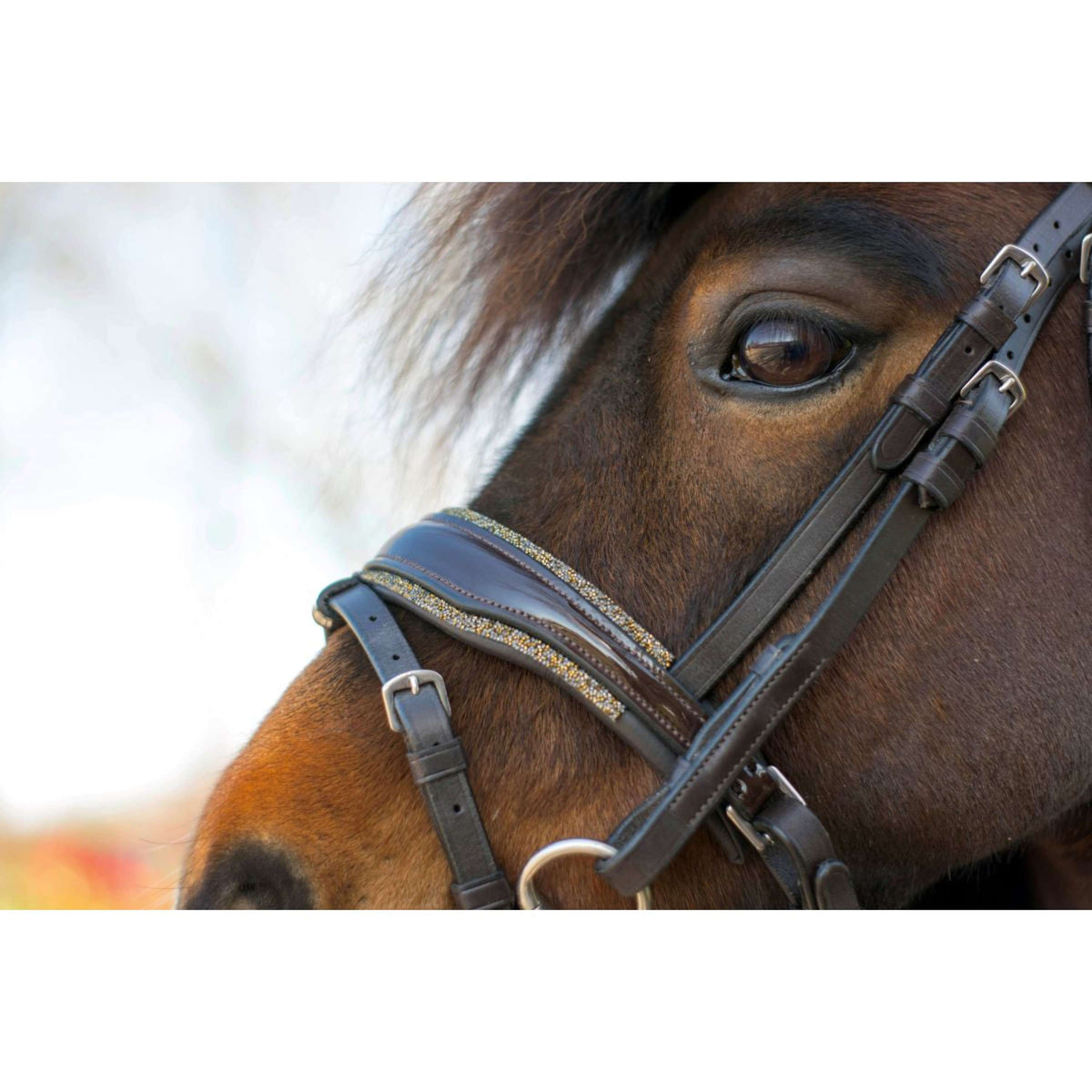 HB Briglia Rocky Marrone glitterato