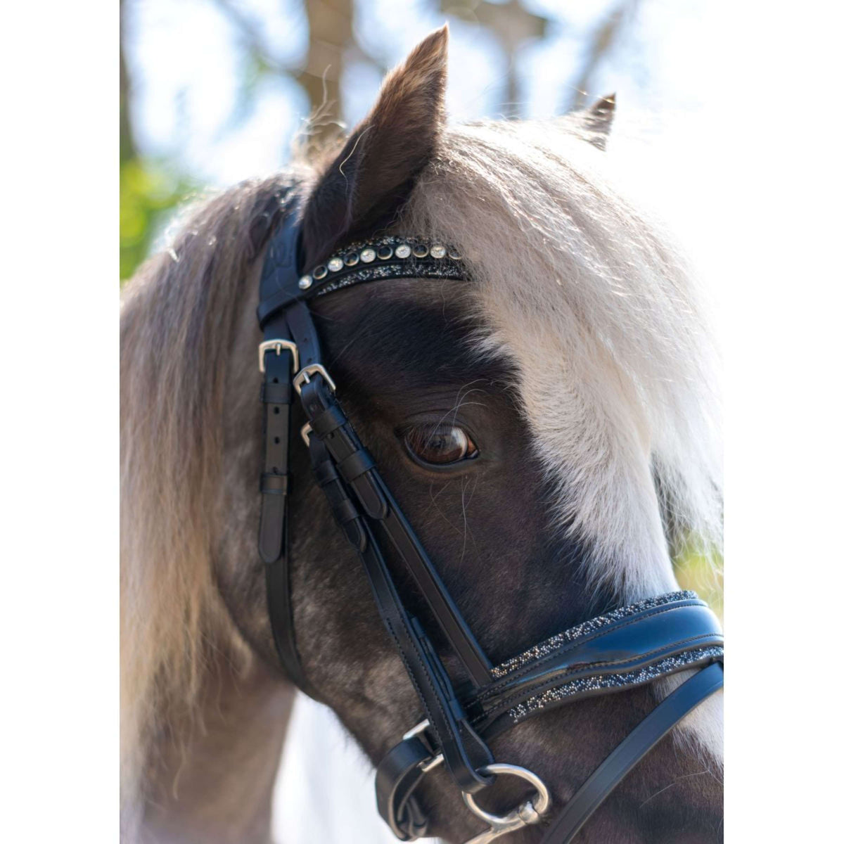 HB Briglia Rocky Glitter/Nero