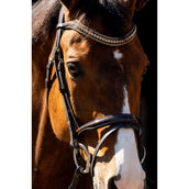 HB Briglia Jump Marrone