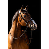 HB Briglia Jump Marrone