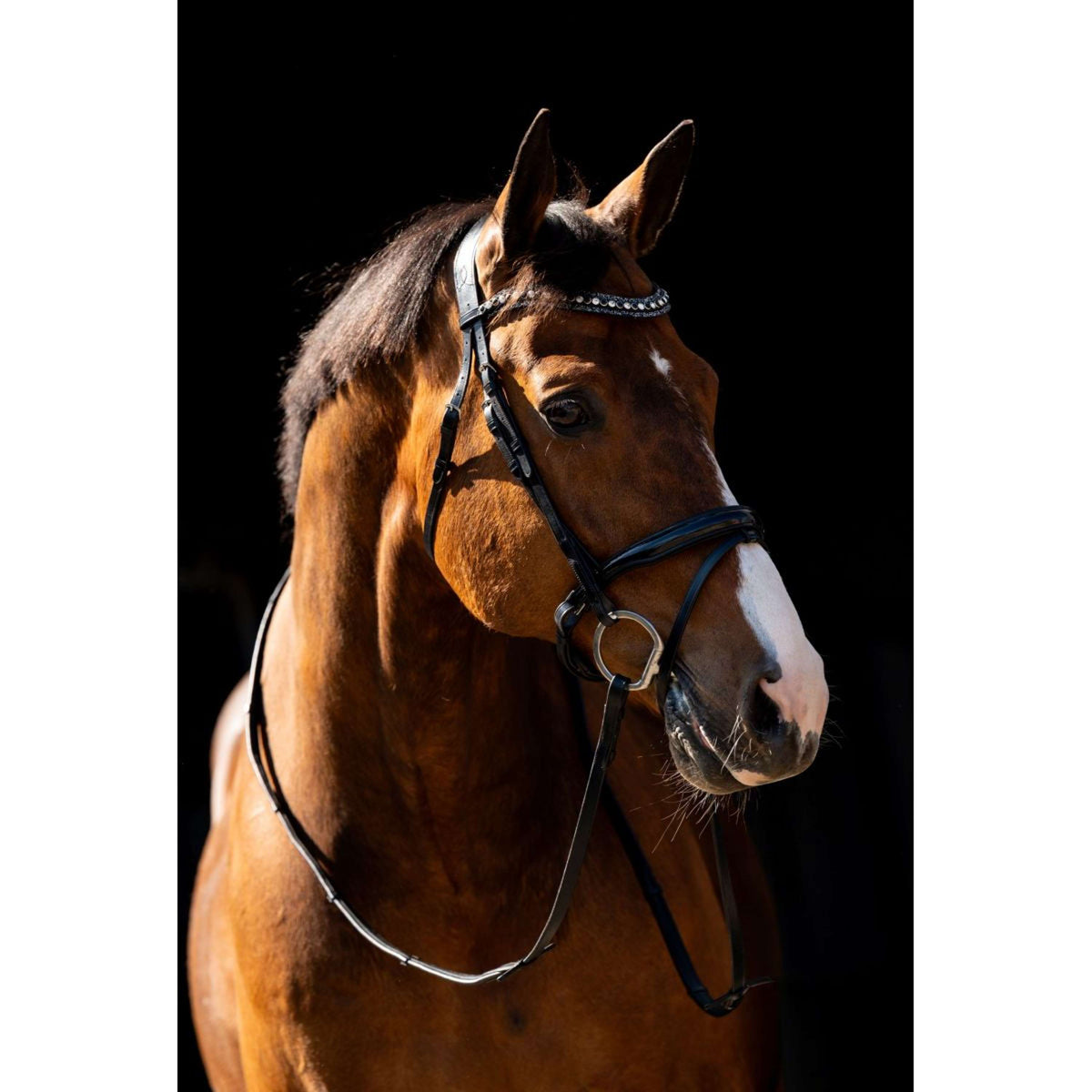 HB Briglia Jump Nero