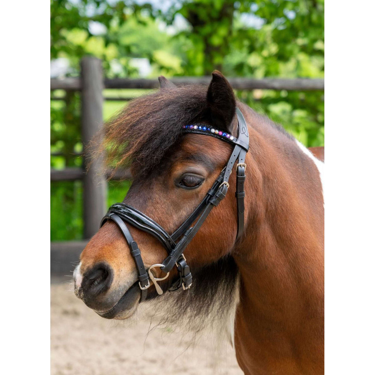HB Ruitersport Briglia Showtime Petit Royal Nero