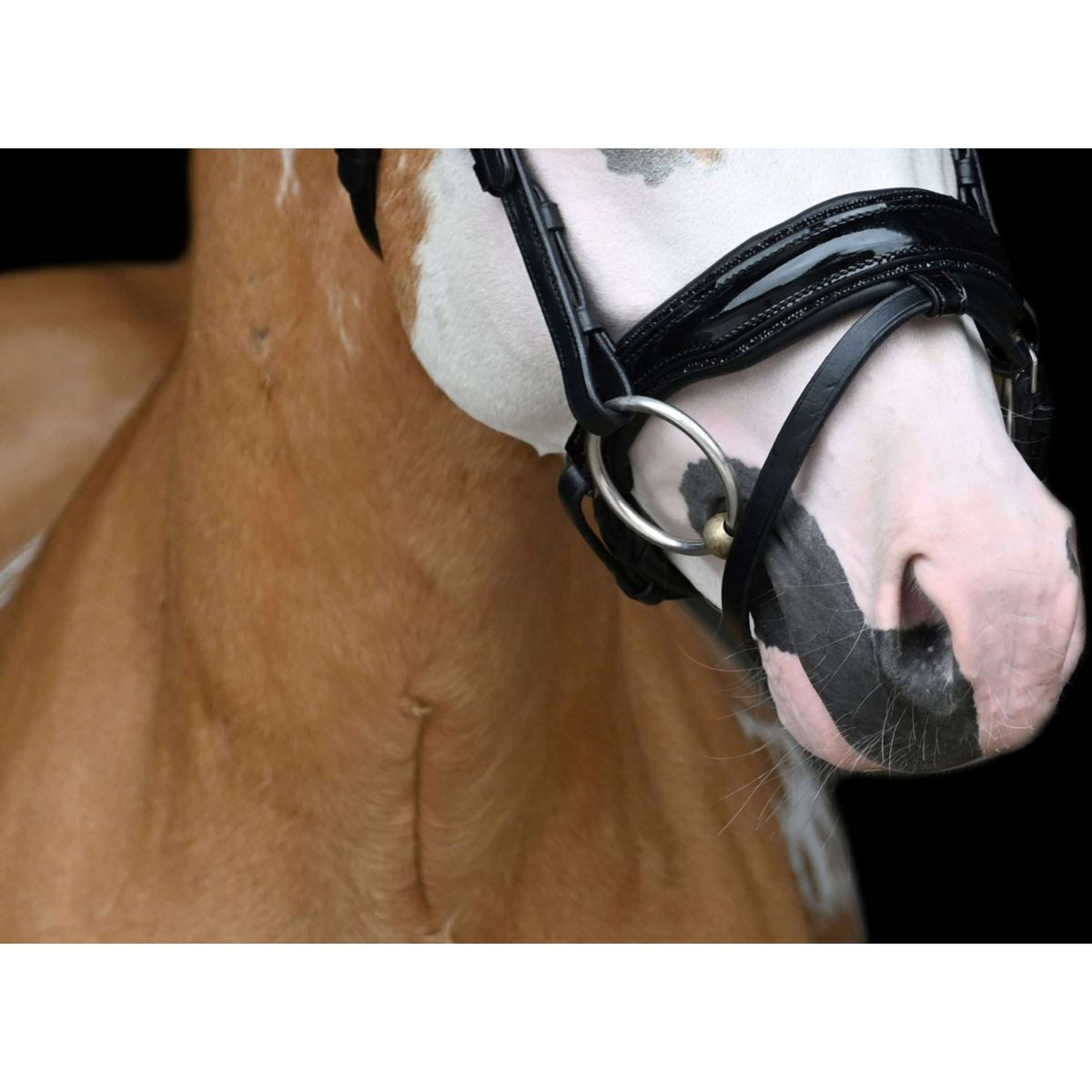 HB Briglia Special Nero/Oro