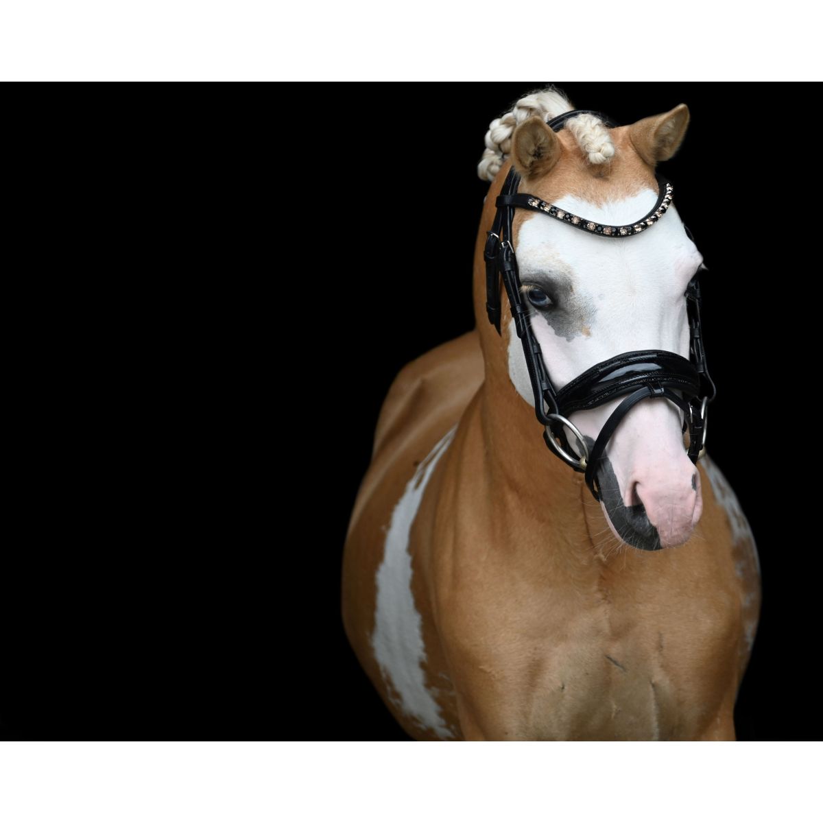 HB Briglia Special Nero/Oro