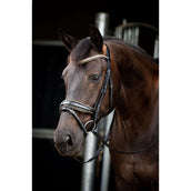 HB Ruitersport Briglia Golden Dreams Glitter nero/oro